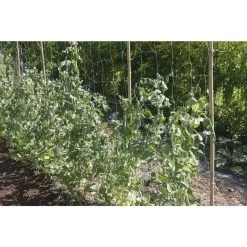 Filet à Ramer Bio Compostable TRELLINET BIO