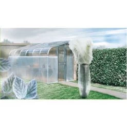 Film à Bulles : Transparent : 1,20x3m