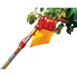 Cueille-fruits Multi Star: Tête Sans Manche