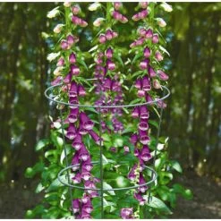 Tuteur Cône Fleur : Ø25cm