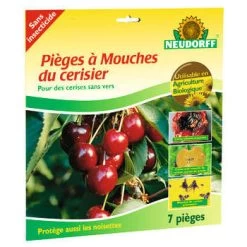 Pièges à Mouches De La Cerise : 7 Pièges
