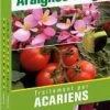 Acarien Phytoseiulus Contre L?araignée Rouge