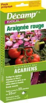 Acarien Phytoseiulus Contre L?araignée Rouge