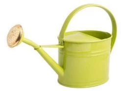 Arrosoir Ovale : Acier Vert Olive 1,75L