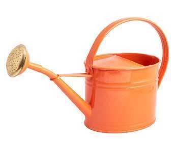 Arrosoir Ovale : Acier Rouge Corail 1,75L