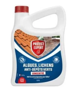Dimaxx Anti-algue/lichen/dépôt Vert : 2,5l