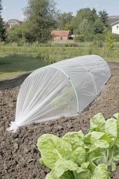 Film De Forçage Anti-insecte : 1,4 X 10 M